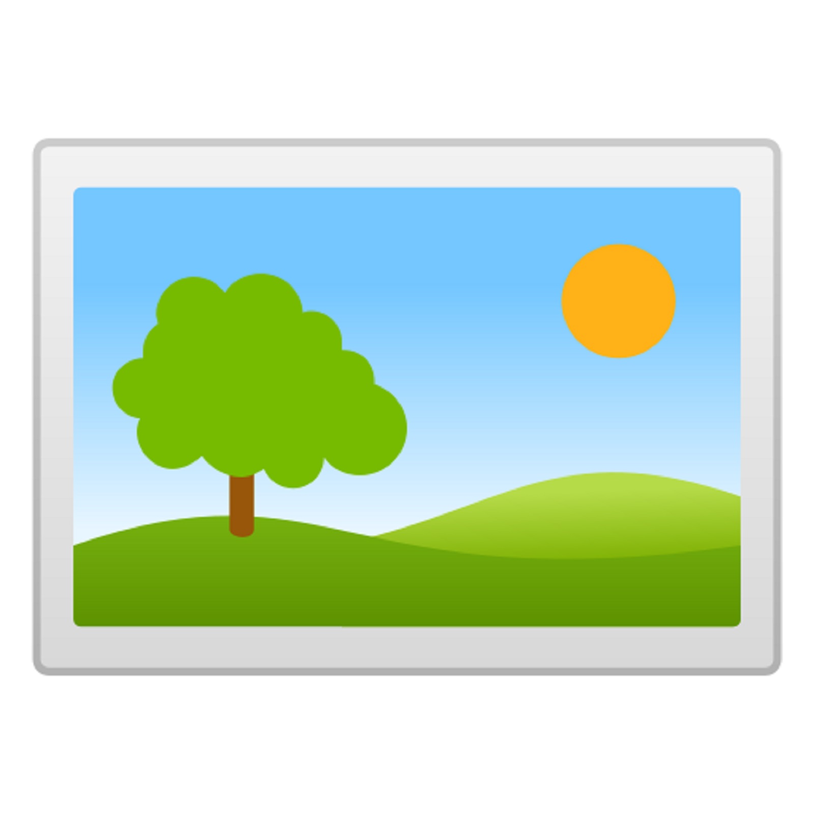 PFÄLZER Bäume - Damen Shirt.4